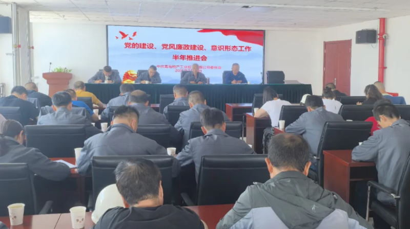 工投公司黨委召開黨的建設(shè)、黨風(fēng)廉政建設(shè)、意識形態(tài)工作半年推進(jìn)會(huì)