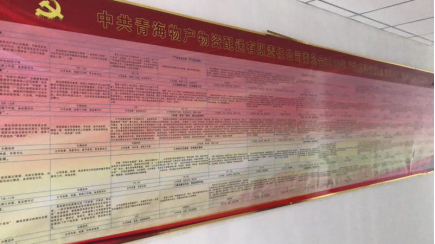 物產(chǎn)配送公司黨委“黨的建設(shè)重點(diǎn)強(qiáng)化年”活動(dòng)2018年工作任務(wù)、組織保障具體化